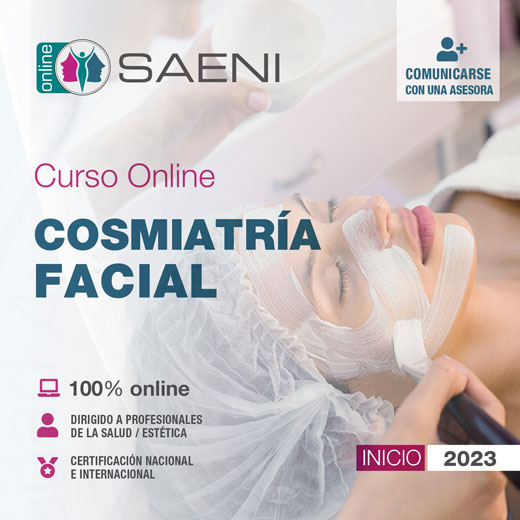 SAENI ONLINE 2023
