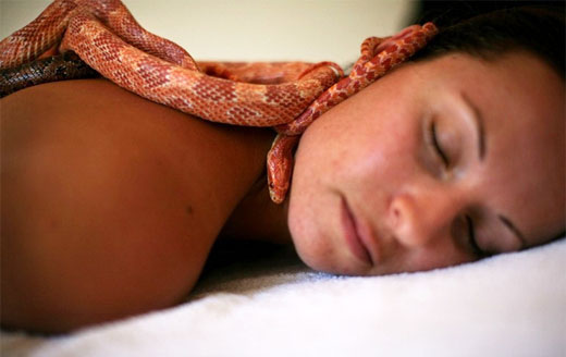 SNAKE MASSAGE